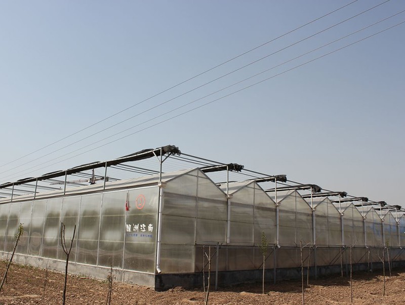 Shandong Greenhouse Project