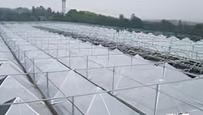 Polycarbonate sheet raw processing